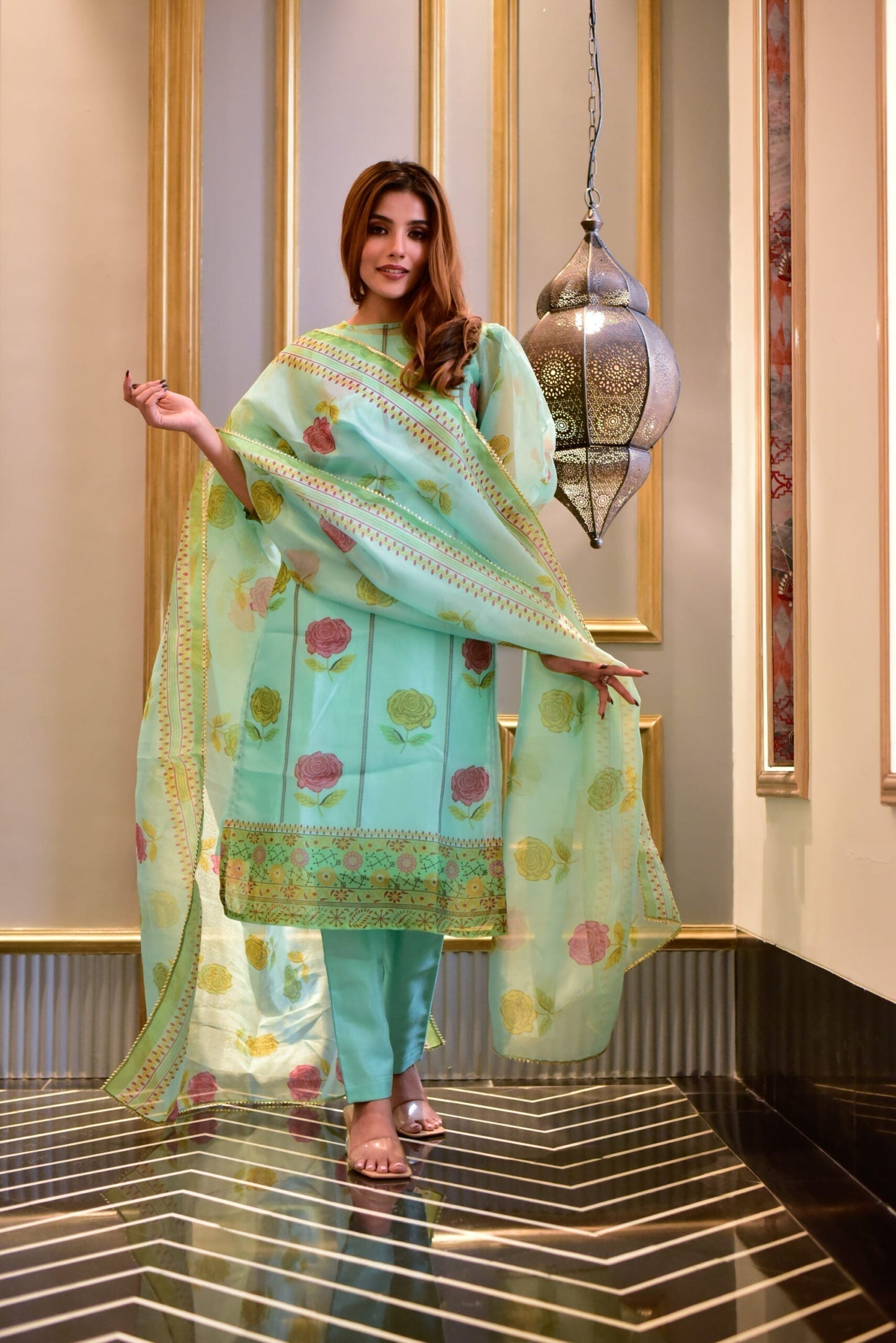 aanavi organza suit set